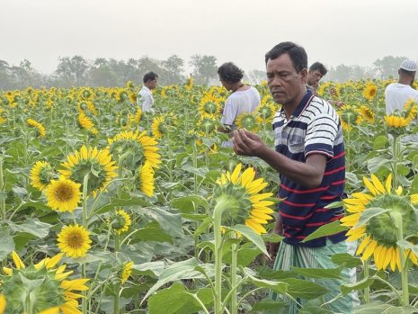 US and UAE governments highlight early warning system for climate resilience